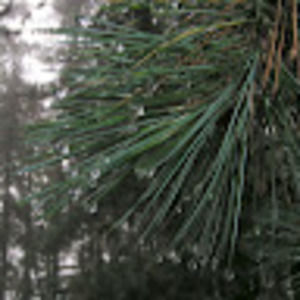 Meet your Posher, Jelena